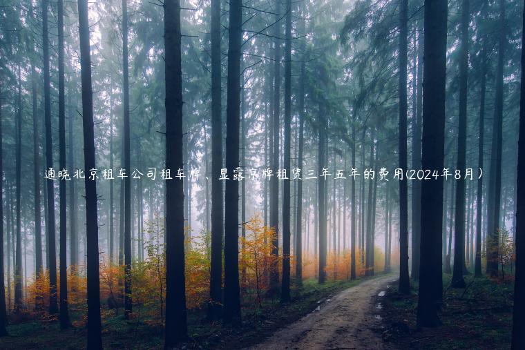 通晓北京租车公司租车牌、显露京牌租赁三年五年的费用(2024年8月）