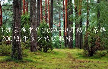 办理京牌中介(2024年8月初）(京牌中介多少钱收指标)