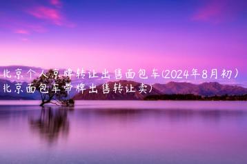 北京个人京牌转让出售面包车(2024年8月初）(北京面包车带牌出售转让卖)