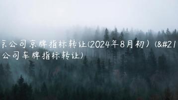 北京公司京牌指标转让(2024年8月初）(北京公司车牌指标转让)