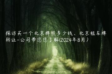 探访买一个北京牌照多少钱、北京租车牌转让-公司带您您了解(2024年8月）