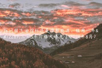 探问租汽油指标还是排新能源、租用一年、三年5年价格大曝光了(2024年8月）