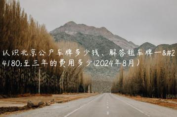 认识北京公户车牌多少钱、解答租车牌一年至三年的费用多少(2024年8月）