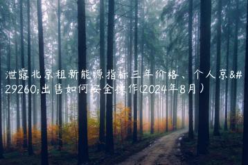 泄露北京租新能源指标三年价格、个人京牌出售如何安全操作(2024年8月）