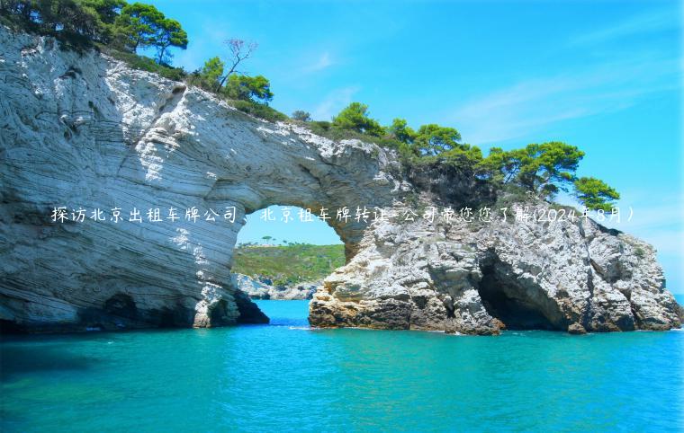 探访北京出租车牌公司、北京租车牌转让-公司带您您了解(2024年8月）