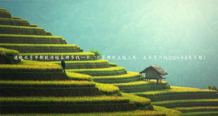 通晓北京市新能源租车牌多钱一年、北京牌照出租三年、五年多少钱(2024年8月下旬）