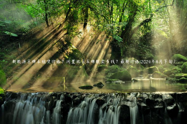 新能源京牌车租赁价格？闲置北京车牌能卖多钱？最新价格(2024年8月下旬）