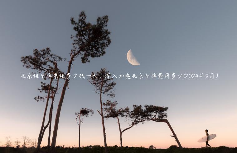 北京租车牌求租多少钱一天、深入知晓北京车牌费用多少(2024年9月）