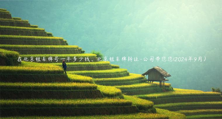 在北京租车牌号一年多少钱、北京租车牌转让-公司带您您(2024年9月）
