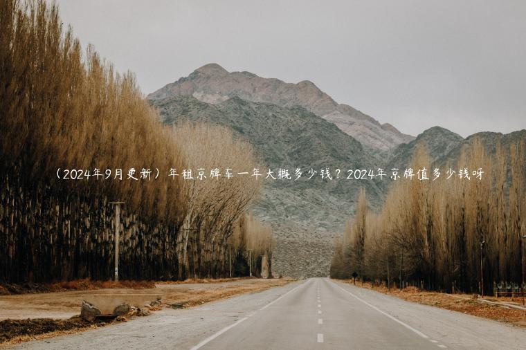 （2024年9月更新）年租京牌车一年大概多少钱？2024年京牌值多少钱呀
