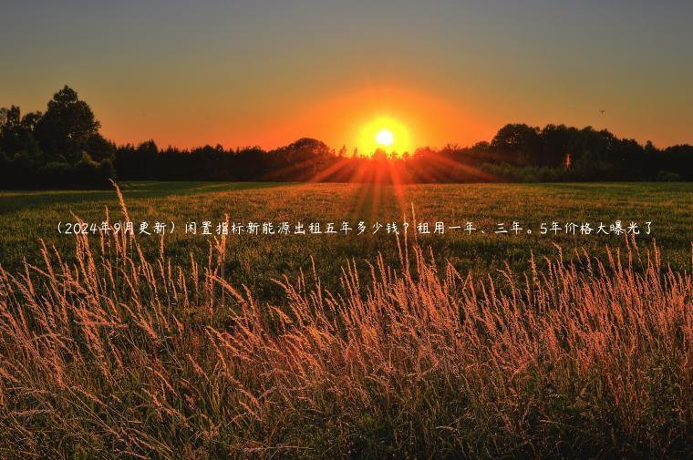 （2024年9月更新）闲置指标新能源出租五年多少钱？租用一年、三年。5年价格大曝光了