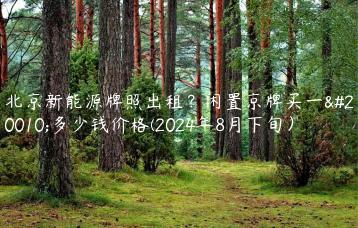 北京新能源牌照出租？闲置京牌买一个多少钱价格(2024年8月下旬）