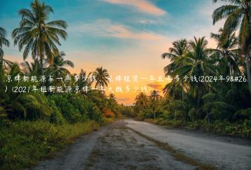 租京牌新能源车一年多少钱、京牌租赁一年五年多少钱(2024年9月）(2021年租新能源京牌一年大概多少钱)
