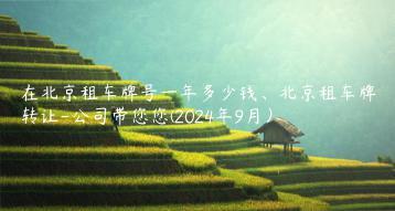 在北京租车牌号一年多少钱、北京租车牌转让-公司带您您(2024年9月）