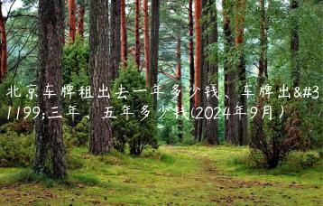 北京车牌租出去一年多少钱、车牌出租三年、五年多少钱(2024年9月）