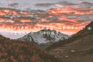 （2024年9月更新）北京租车牌一年费用多少钱？油牌闲置指标一年、三年价格多少