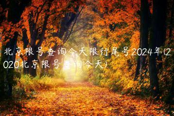 北京限号查询今天限行尾号2024年(2020北京限号查询今天)