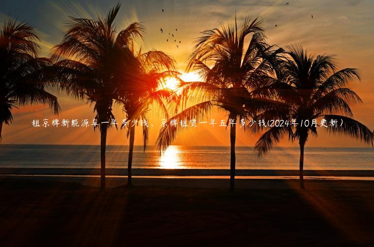 租京牌新能源车一年多少钱、京牌租赁一年五年多少钱(2024年10月更新）