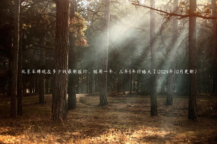 北京车牌现在多少钱最新报价、租用一年、三年5年价格大了(2024年10月更新）