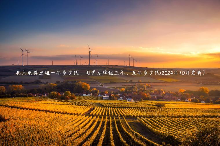 北京电牌出租一年多少钱、闲置京牌租三年、五年多少钱(2024年10月更新）