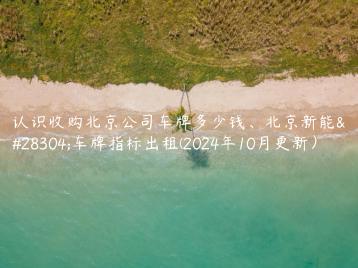 认识收购北京公司车牌多少钱、北京新能源车牌指标出租(2024年10月更新）