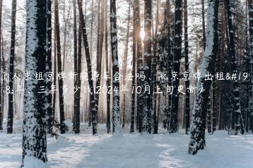 个人求租京牌新能源车合法吗、北京京牌出租一年、三年多少钱(2024年10月上旬更新）