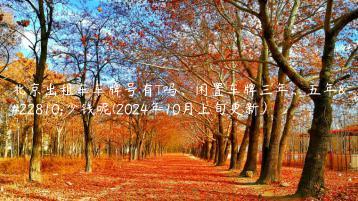 北京出租车车牌号有T吗、闲置车牌三年、五年多少钱呢(2024年10月上旬更新）