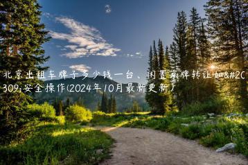 北京出租车牌子多少钱一台、闲置京牌转让如何安全操作(2024年10月最新更新）