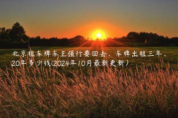 北京租车牌车主强行要回去、车牌出租三年、20年多少钱(2024年10月最新更新）