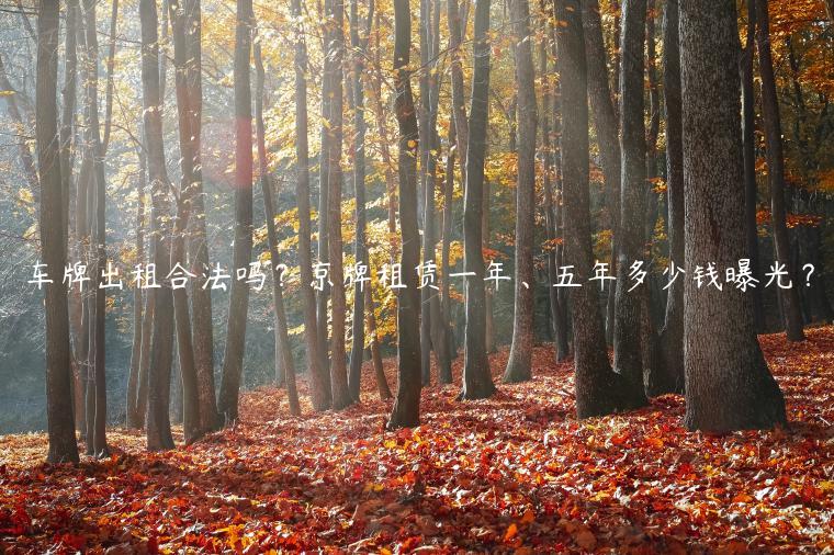 车牌出租合法吗？京牌租赁一年、五年多少钱曝光？