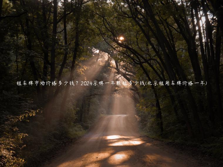 租车牌市场价格多少钱？2024京牌一年能租多少钱(北京租用车牌价格一年)