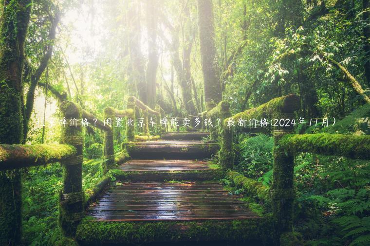 租京牌价格？闲置北京车牌能卖多钱？最新价格(2024年11月）