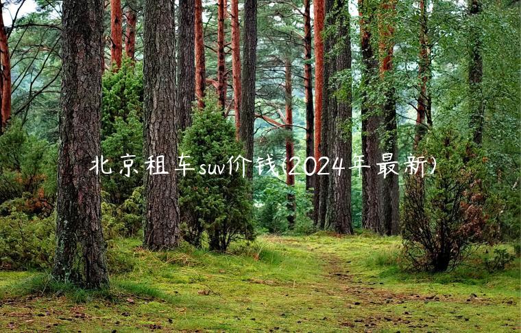 北京租车suv价钱(2024年最新)