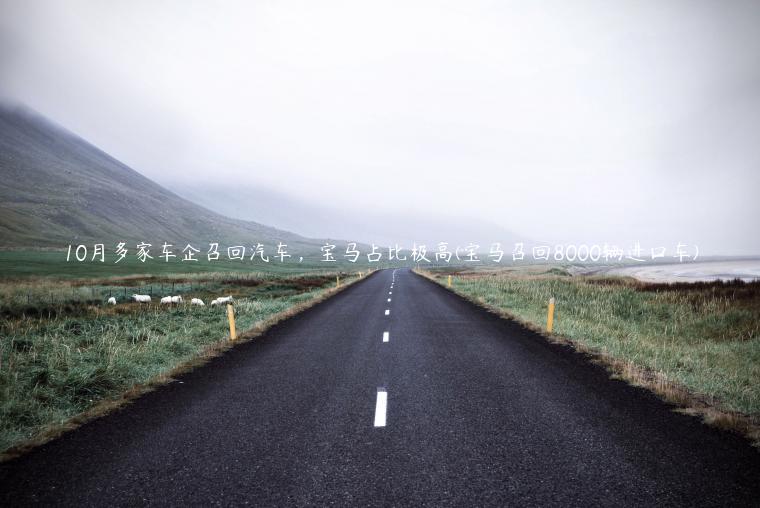 10月多家车企召回汽车，宝马占比极高(宝马召回8000辆进口车)