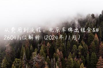 从费用到流程：北京车牌出租全方位解析  (2024年11月）