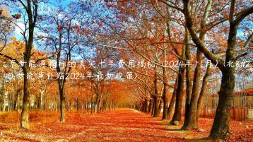 北京新能源指标的真实十年费用揭秘  (2024年11月）(北京新能源补贴2024年最新政策)