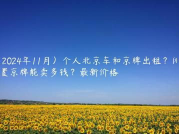 (2024年11月）个人北京车和京牌出租？闲置京牌能卖多钱？最新价格