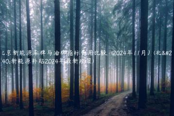 北京新能源车牌与油牌指标费用比较  (2024年11月）(北京新能源补贴2024年最新政策)