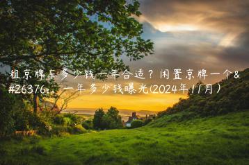 租京牌车多少钱一年合适？闲置京牌一个月、一年多少钱曝光(2024年11月）