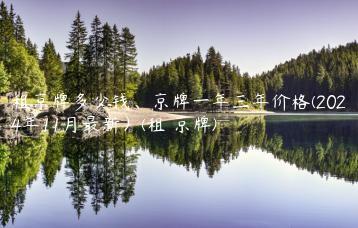 租京牌多少钱、京牌一年三年价格(2024年11月最新）(租 京牌)