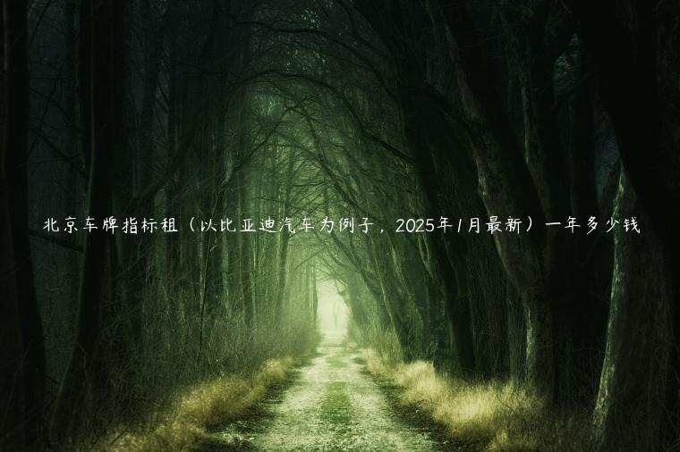 北京车牌指标租（以比亚迪汽车为例子，2025年1月最新）一年多少钱