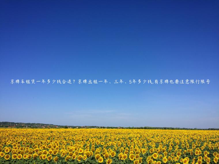 京牌车租赁一年多少钱合适？京牌出租一年、三年、5年多少钱,有京牌也要注意限行限号