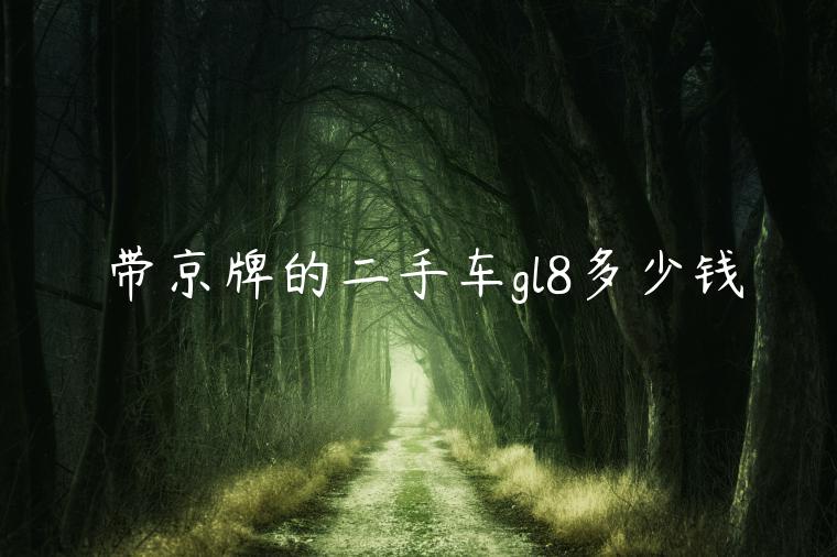 带京牌的二手车gl8多少钱
